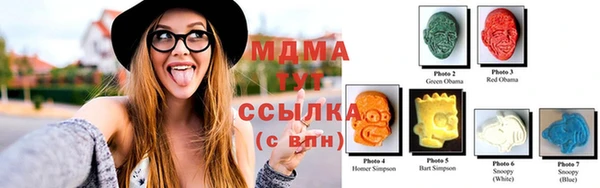 гашик Ельня